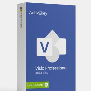 Microsoft Visio Professional 2024 Bind Key